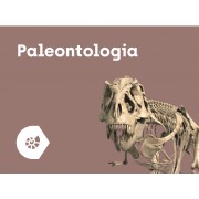 CORINTH 3D – Multimedialna biblioteka - Paleontologia i Kultura 