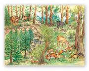 Zwierzęta domowe i leśne (252)